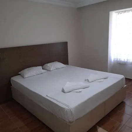 酒店 Aydin Palace Termal 3*