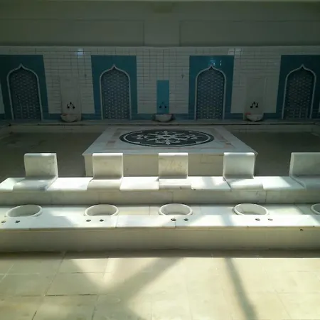 호텔 Aydin Palace Termal