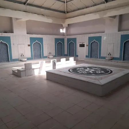 Aydin Palace Termal 호텔 3*