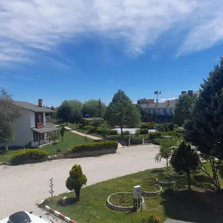호텔 Aydin Palace Termal 3*